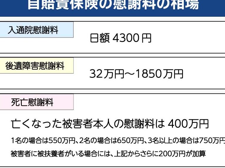 自賠責振込はいつ行うべきかの詳細解説